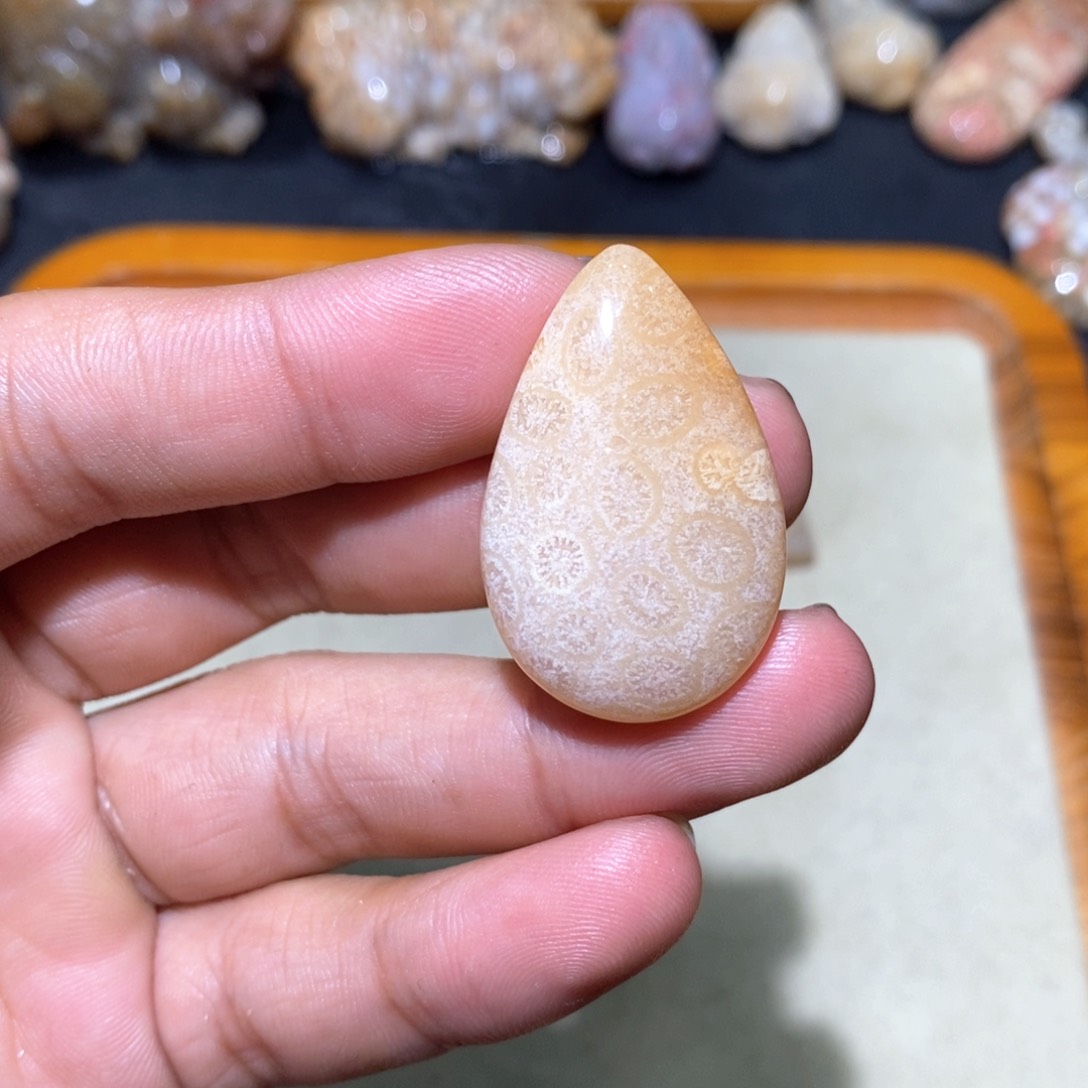 【闪购商品】硅化玉颈饰未镶嵌