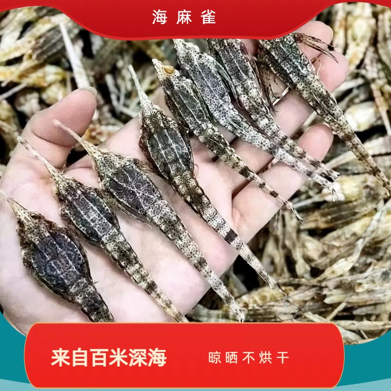 远海捕捞海麻雀8只装 干 海燕 海燕子包邮海产品干 11