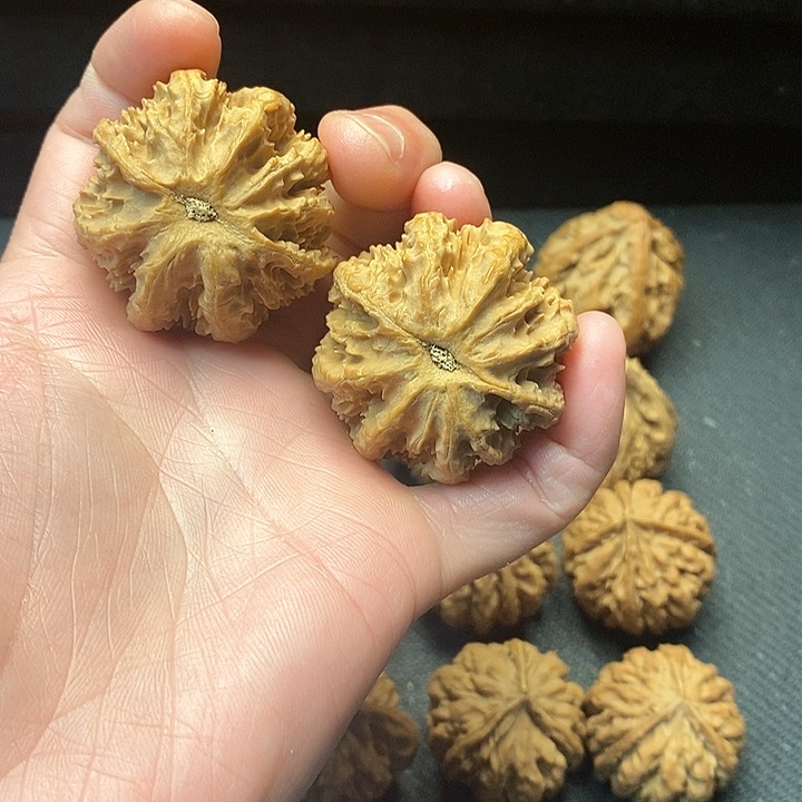 我是一只小小鸟地域鬼