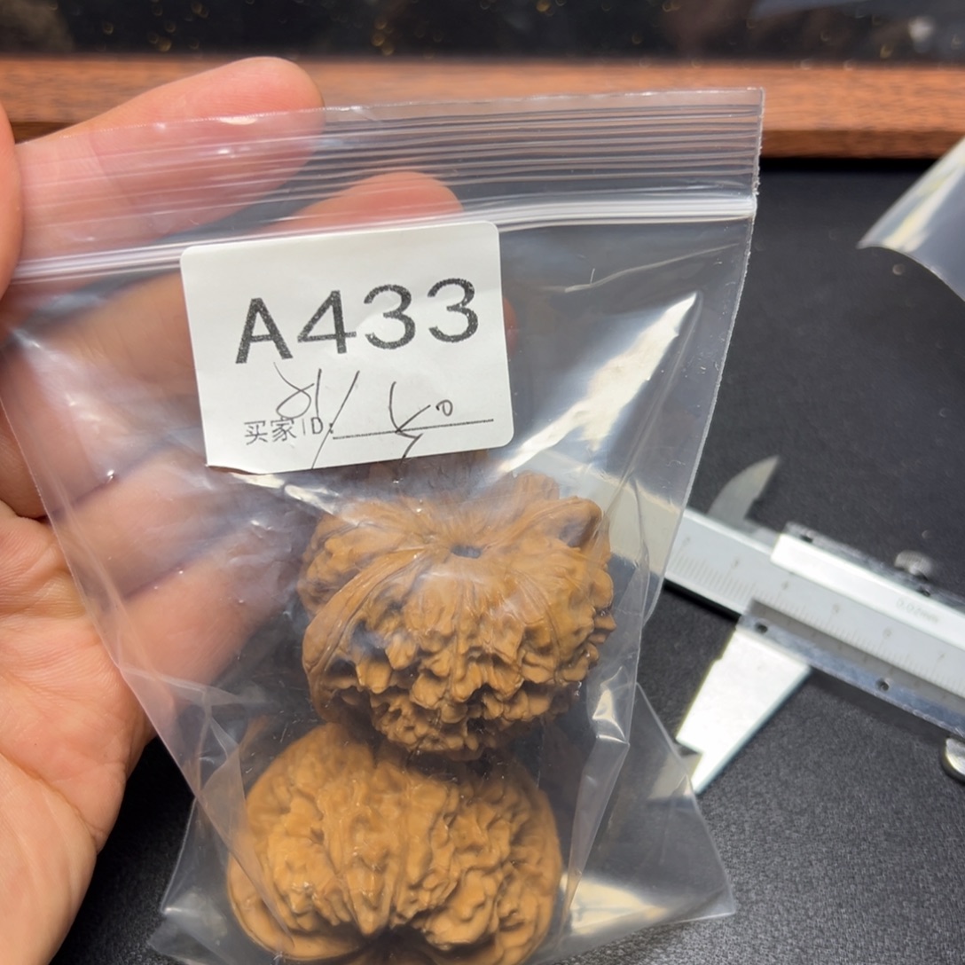 核桃哈哈哈哈我的小