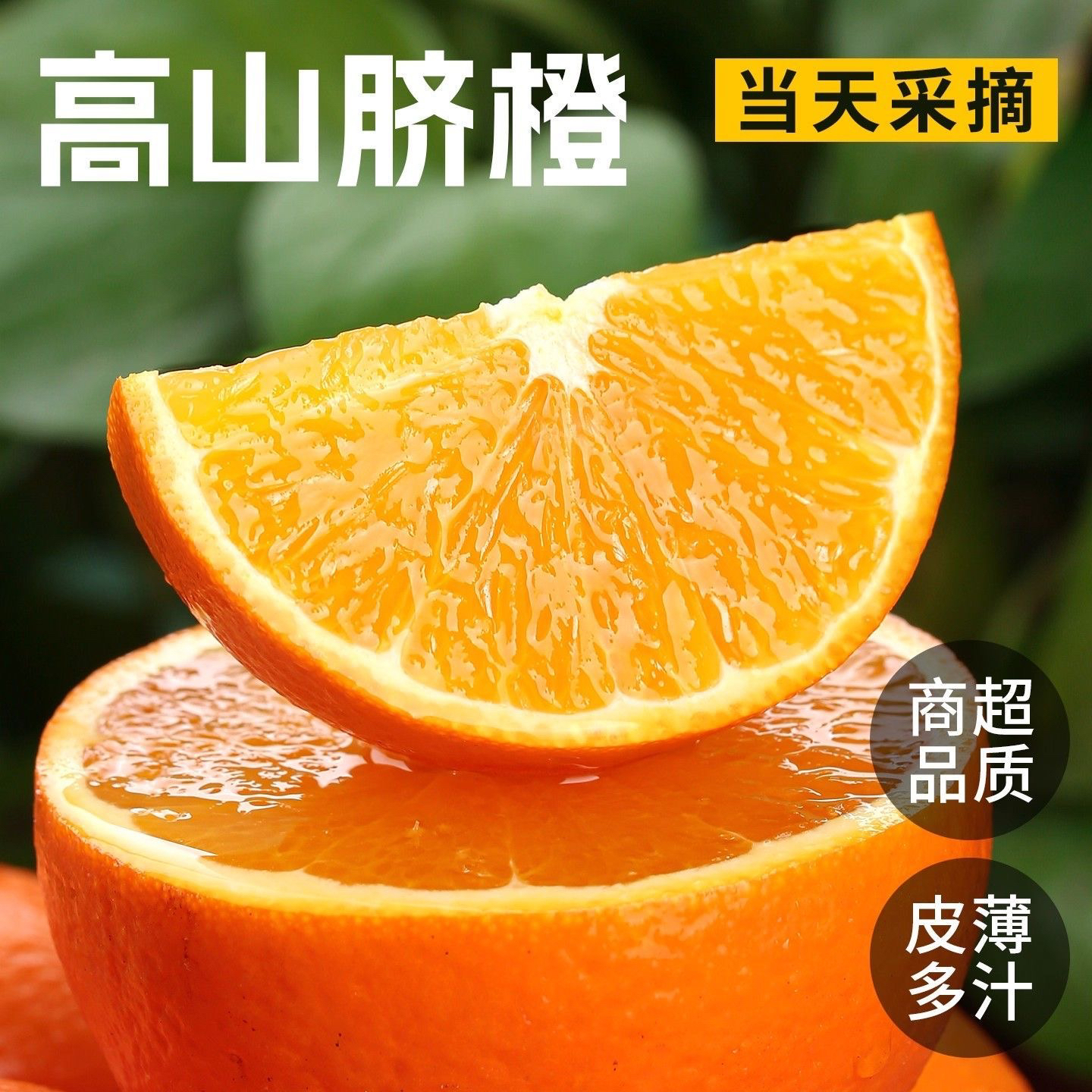 【助农高山脐橙】湖南高山脐橙非赣南橙子现摘现发应季新鲜水果