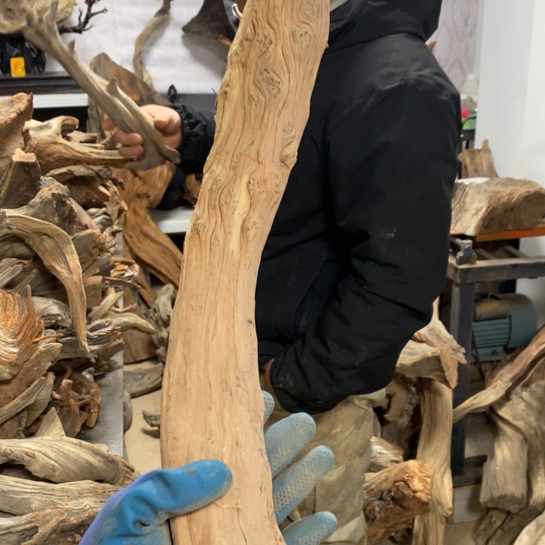 柏木（崖柏）闭***?我们都是好孩子