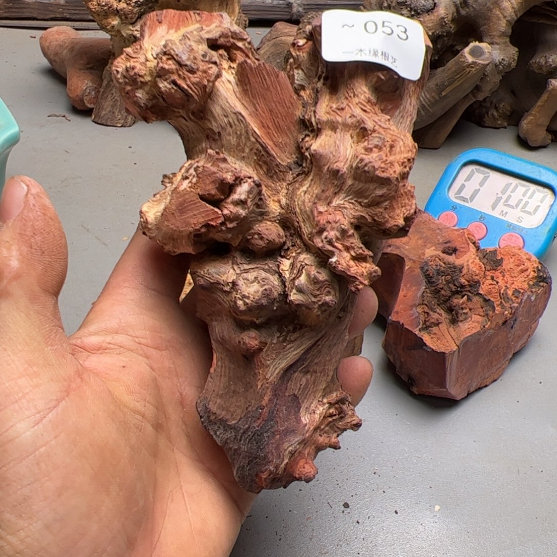 庆***年无花朵         53