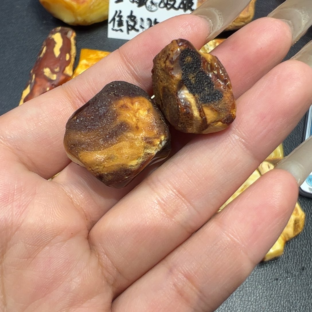 南***游定制琥珀未镶嵌蜜蜡