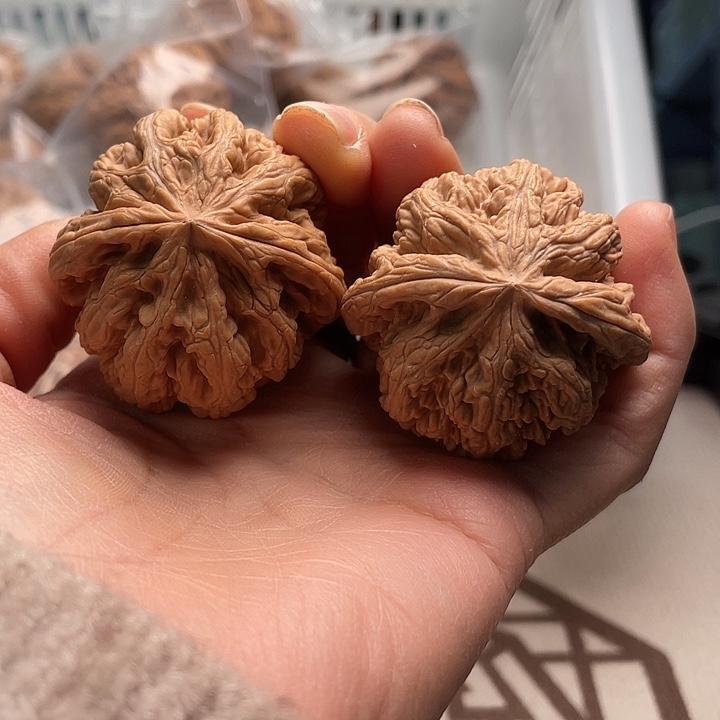 手串文玩核桃粗筋45件的我