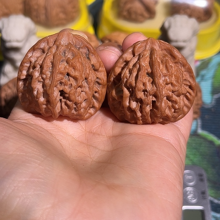 蜗***牛核桃鹤度岭红皮老树