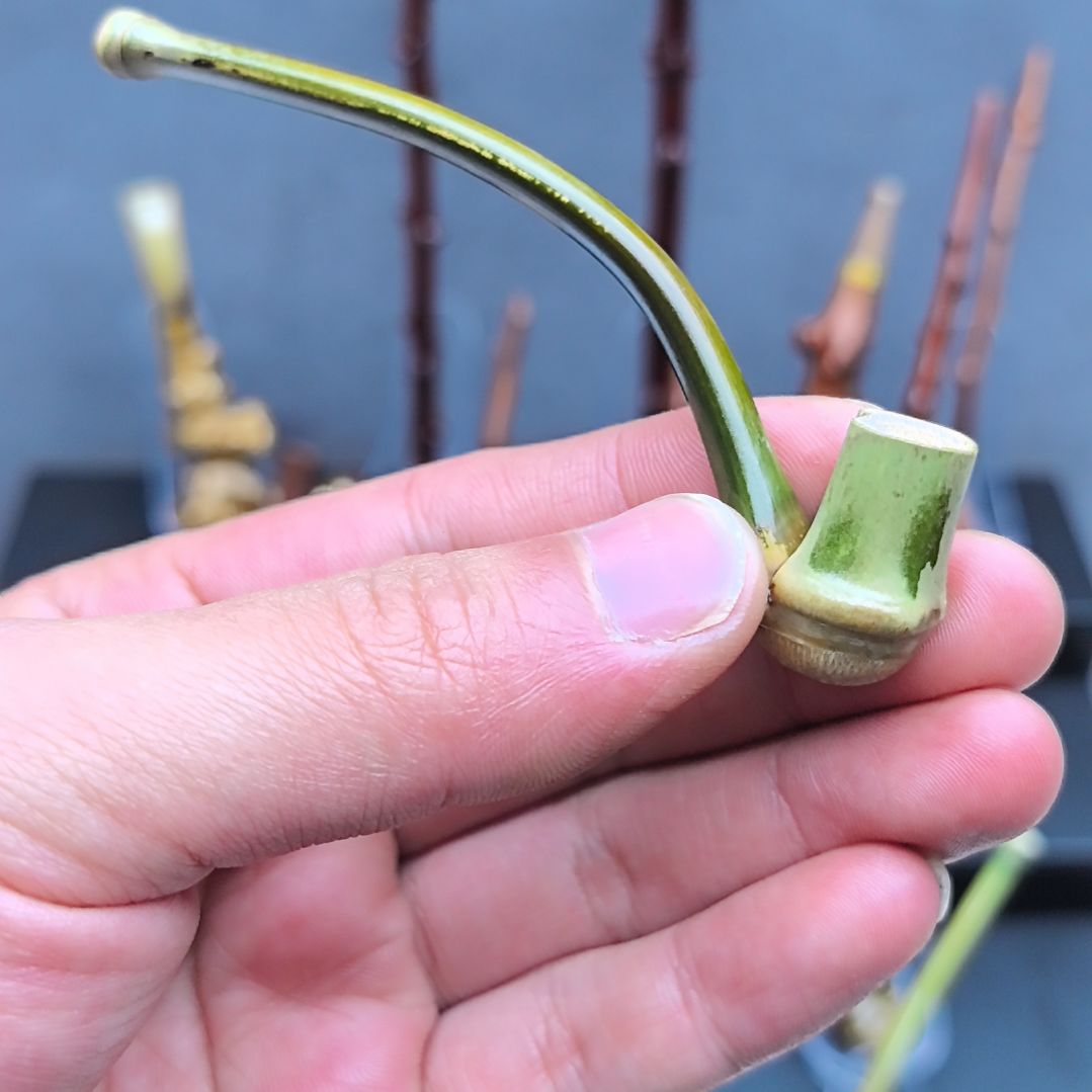 用***1小竹子烟斗，粗中细可以用