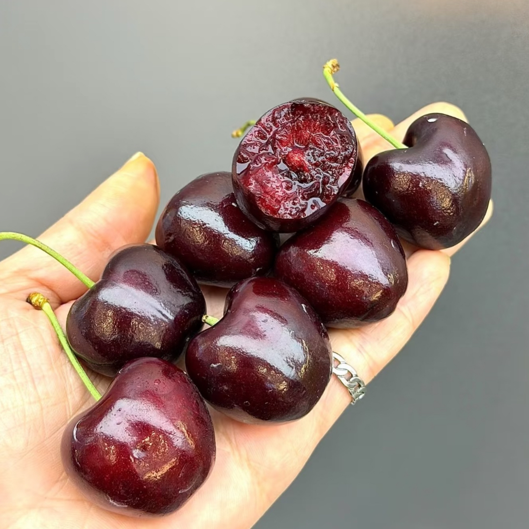 空运金都乐车厘子4JD半斤250g美国