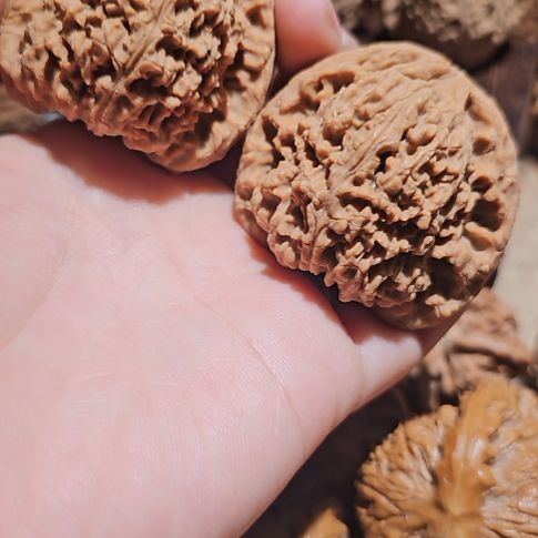 雪***松吊坠文玩核桃47南疆