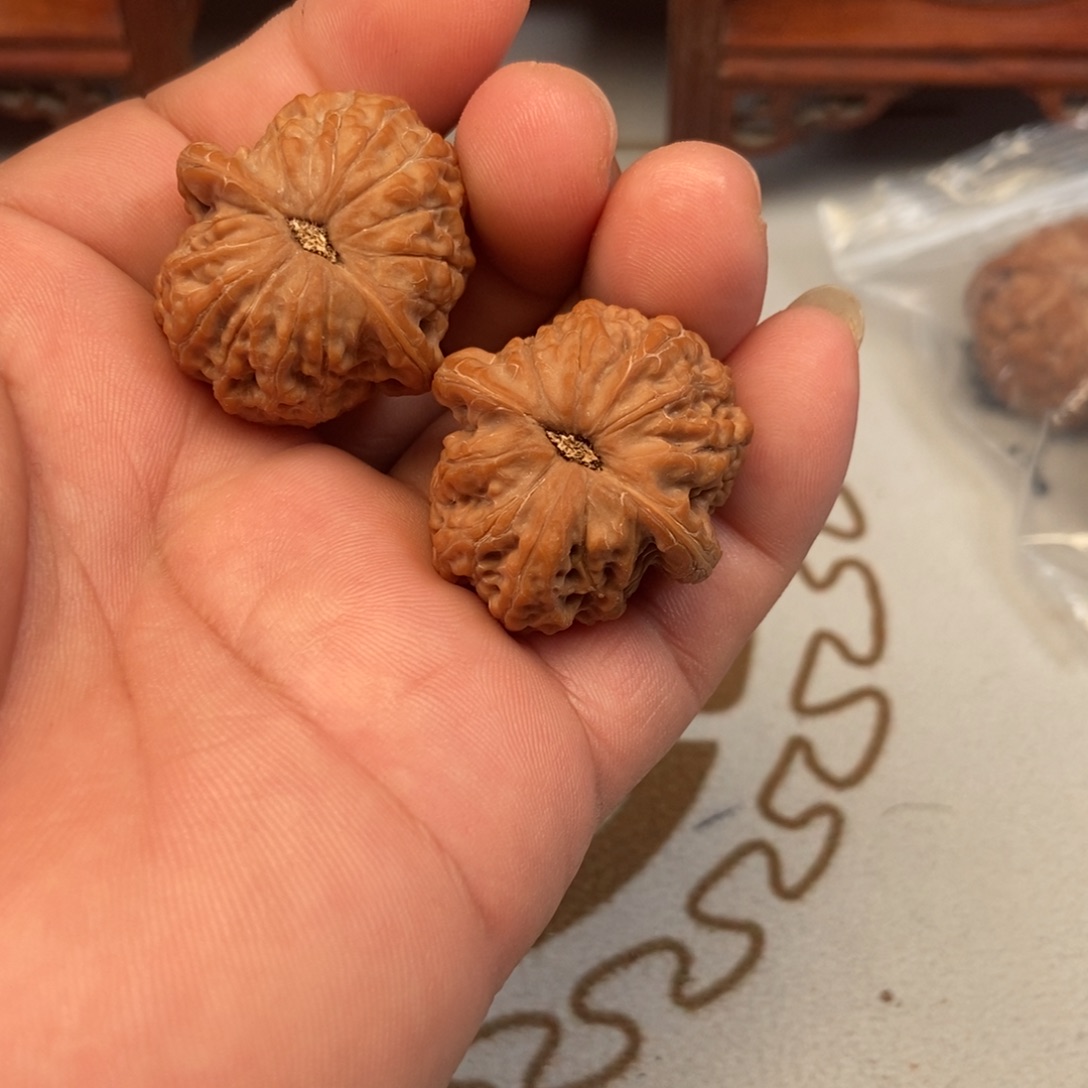 老***长大叶紫檀（黑酸枝木类）血麒麟