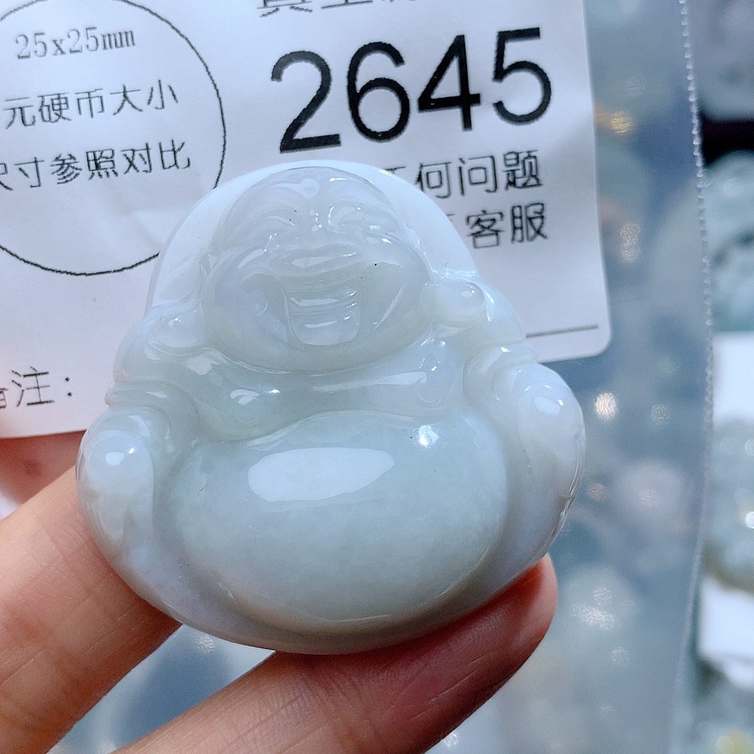 翡翠颈饰未镶嵌2645。