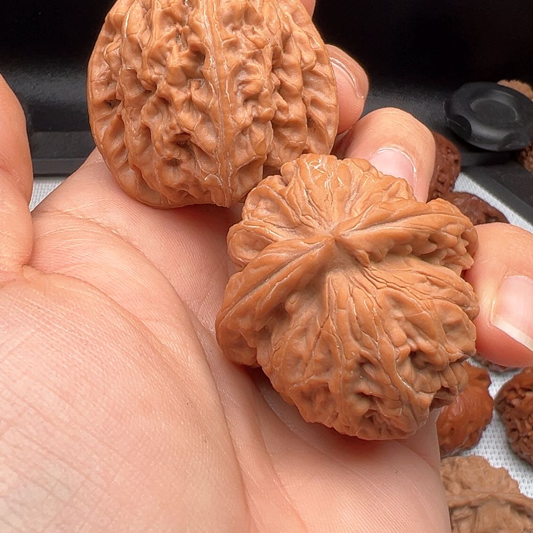 文玩核桃把件缘***在红锦鲤