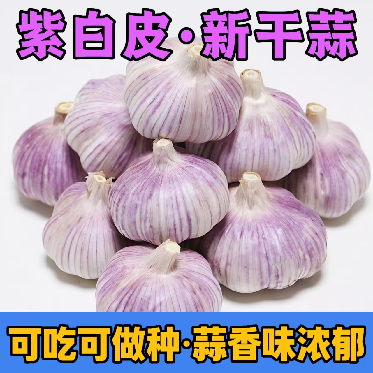 正宗紫白皮大蒜新干蒜农产品生鲜特产香辣饱满可吃可种可发芽
