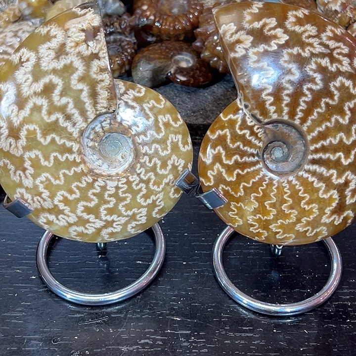 ****吉石材家居装饰摆件螺