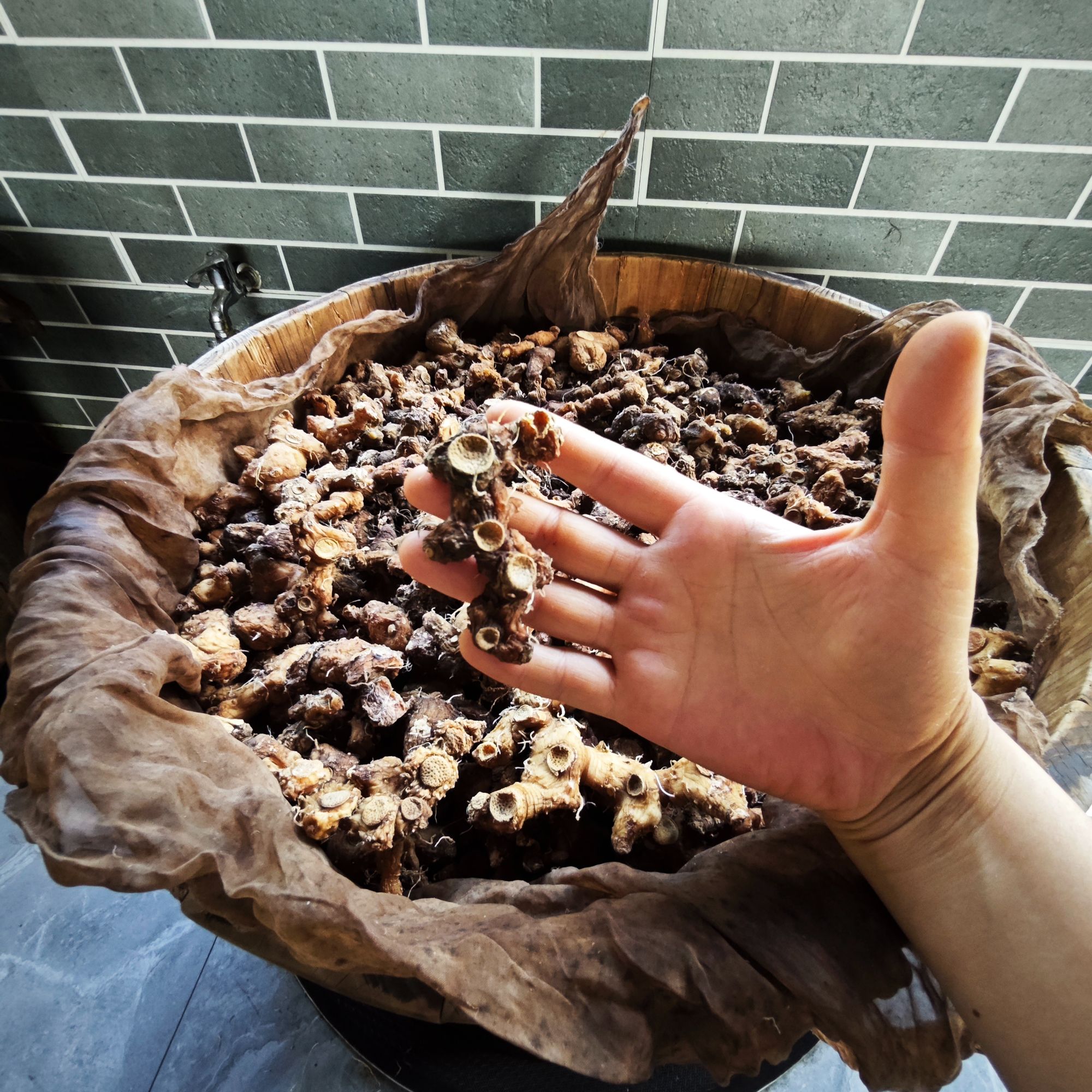 山村阿龙专属1 福建传统手工制作500克足蒸足晒煲汤即食泡茶山姜