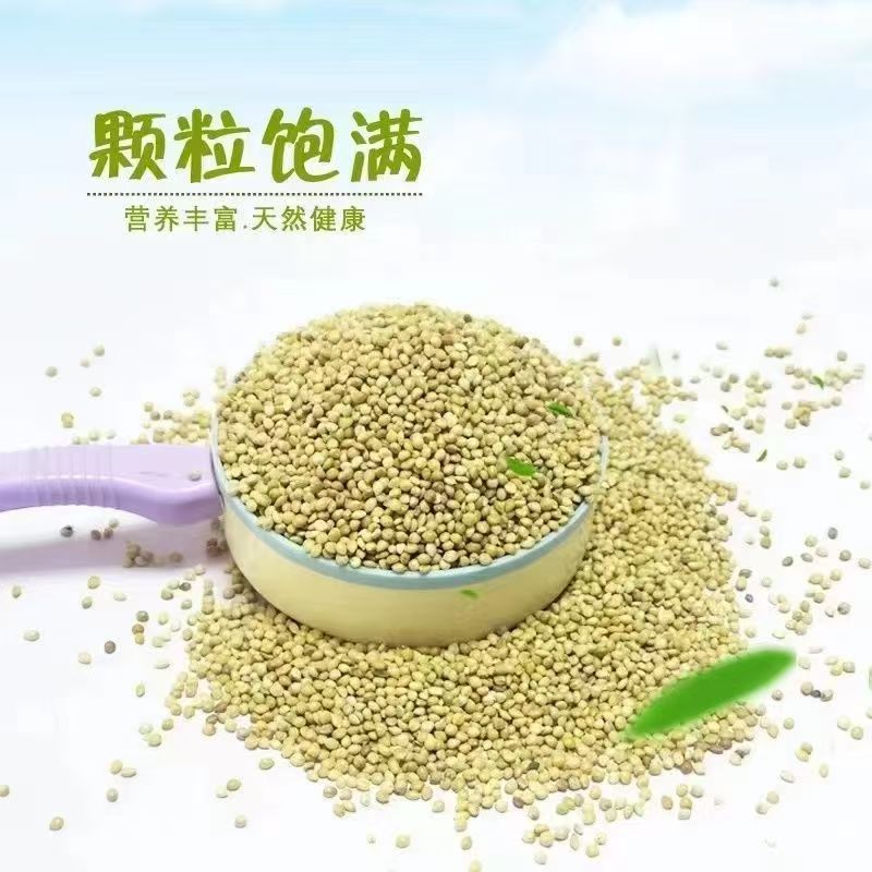 金彩虎皮鹦鹉种子粮蛋小米