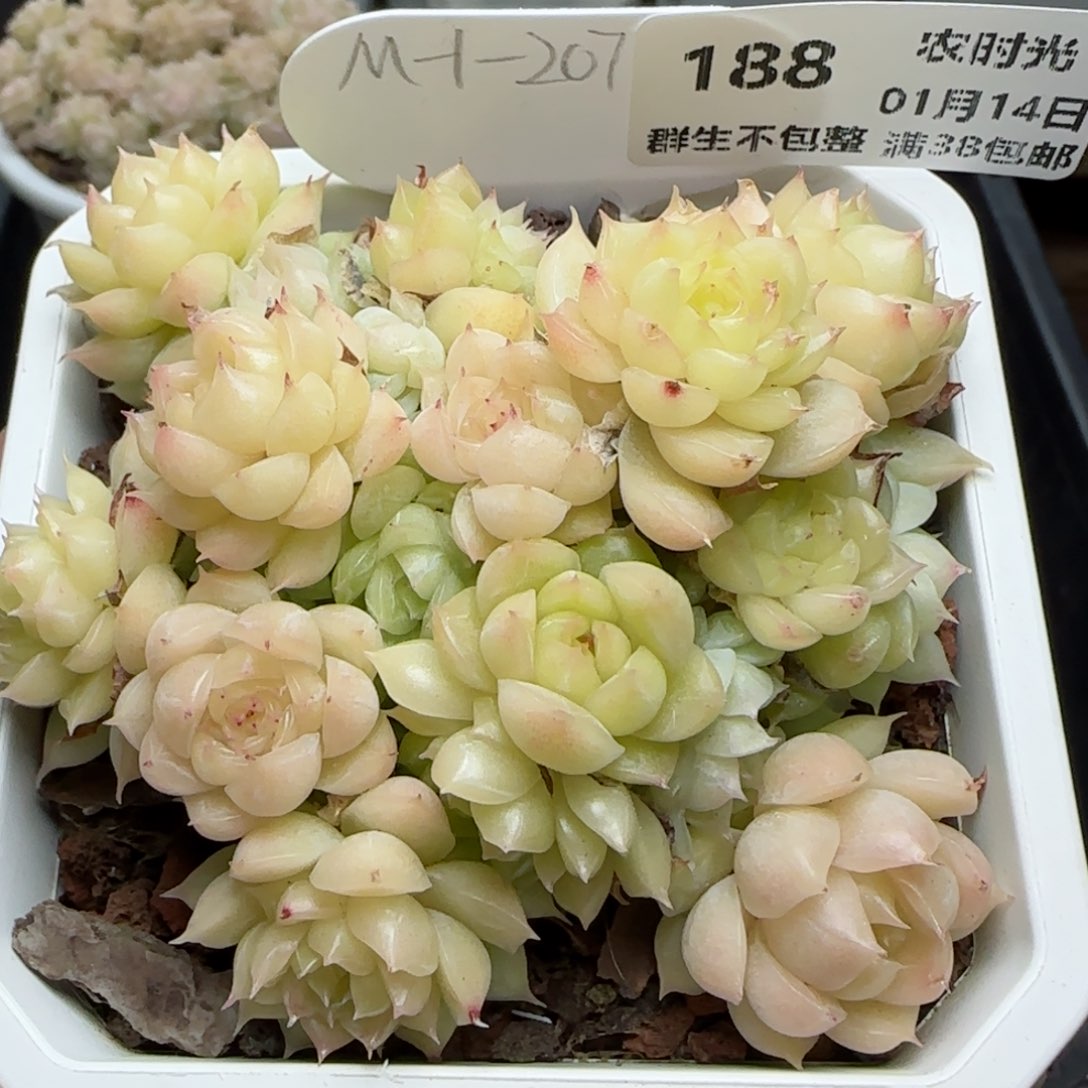 0114-188（M1-207）