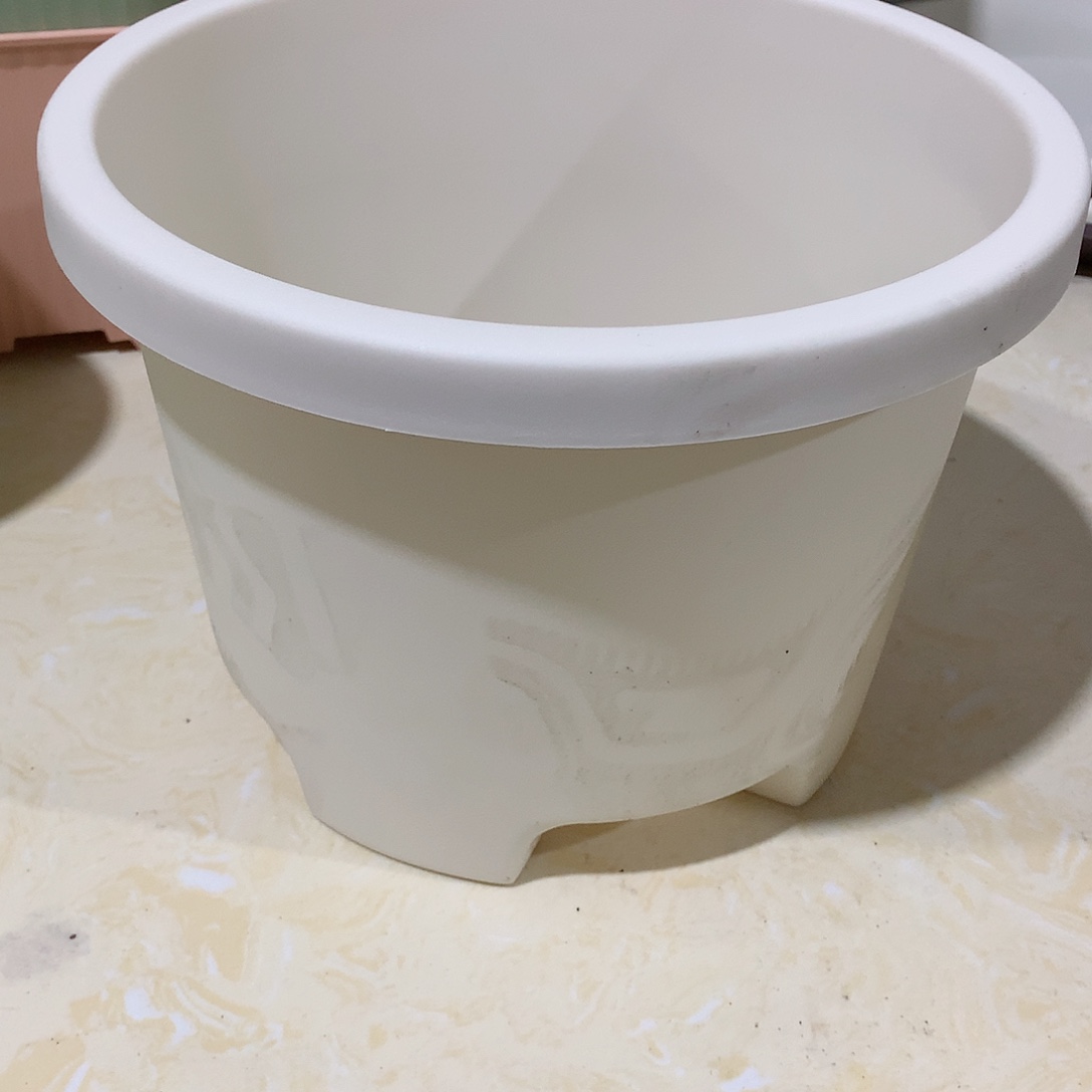 球根口26米白5个无托