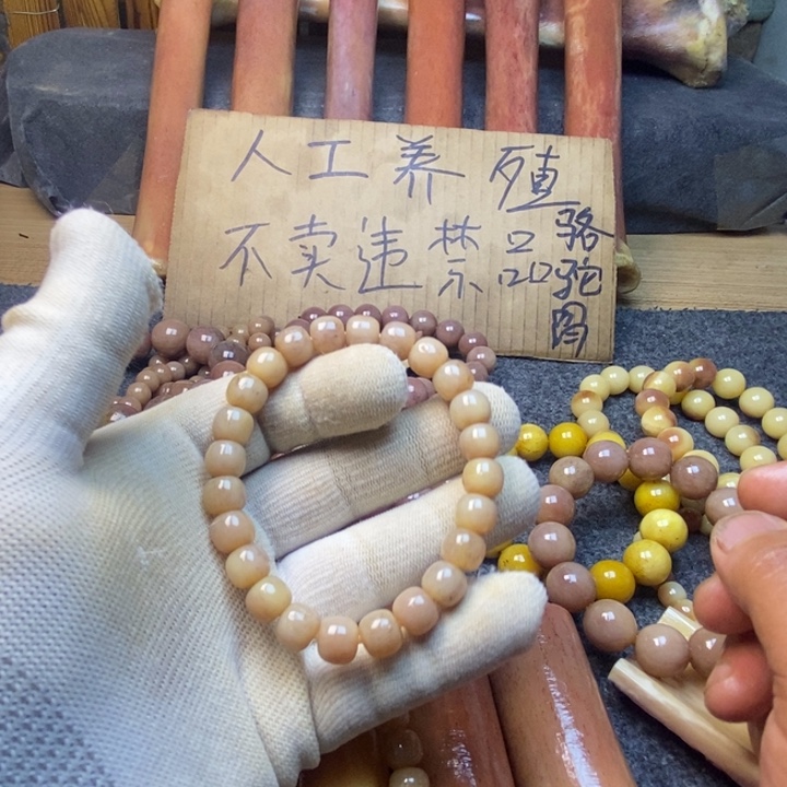 驼骨手串/手链8888