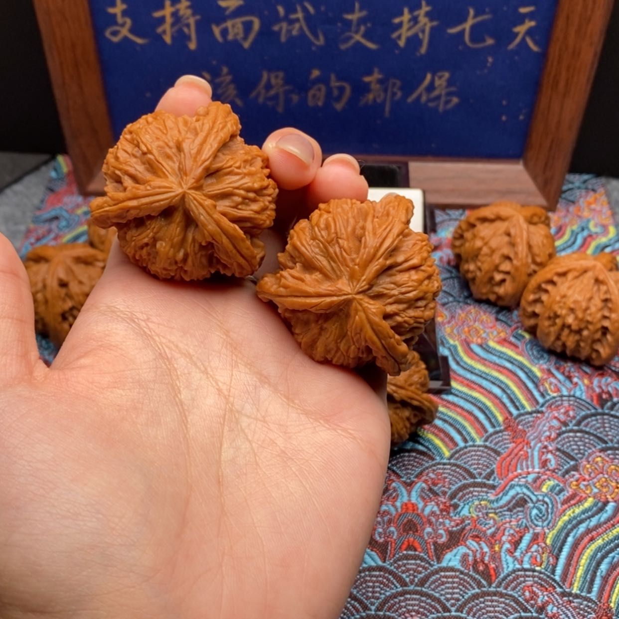 【闪购商品】白狮子