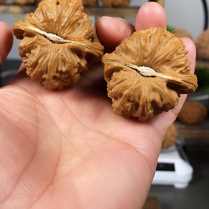把件文玩核桃角白红皮果骨质好43尺