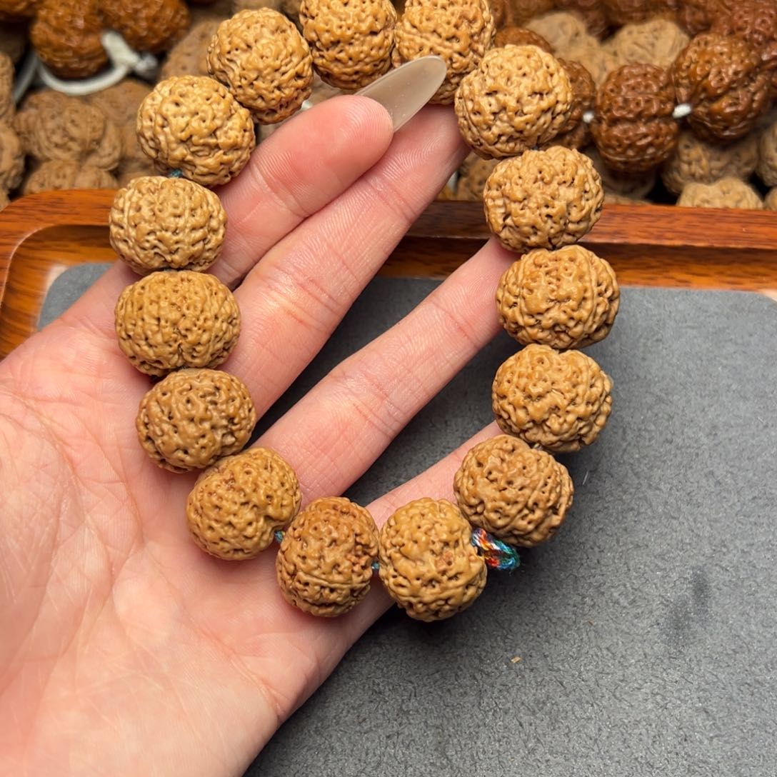 菩提41号尼泊尔大金刚20五星蜂王菠萝蜜