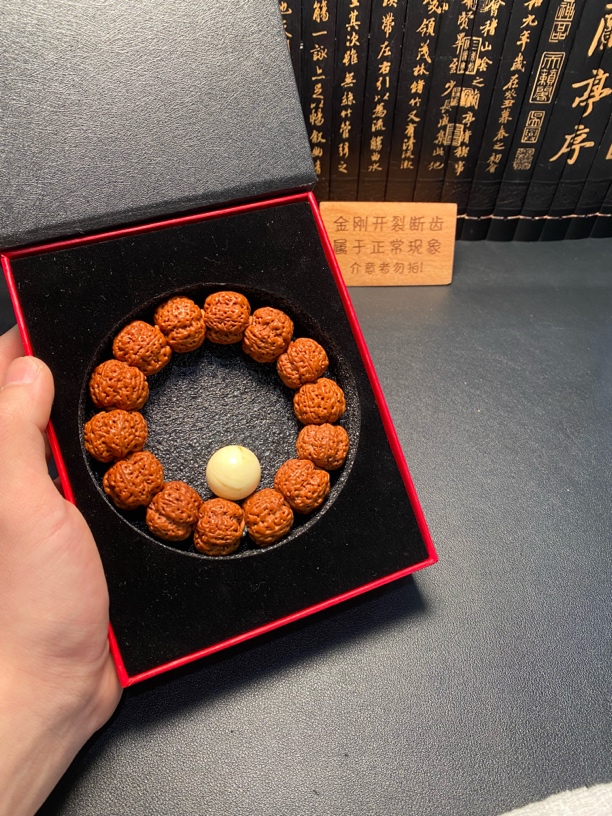 超头大金刚终结者（14号）