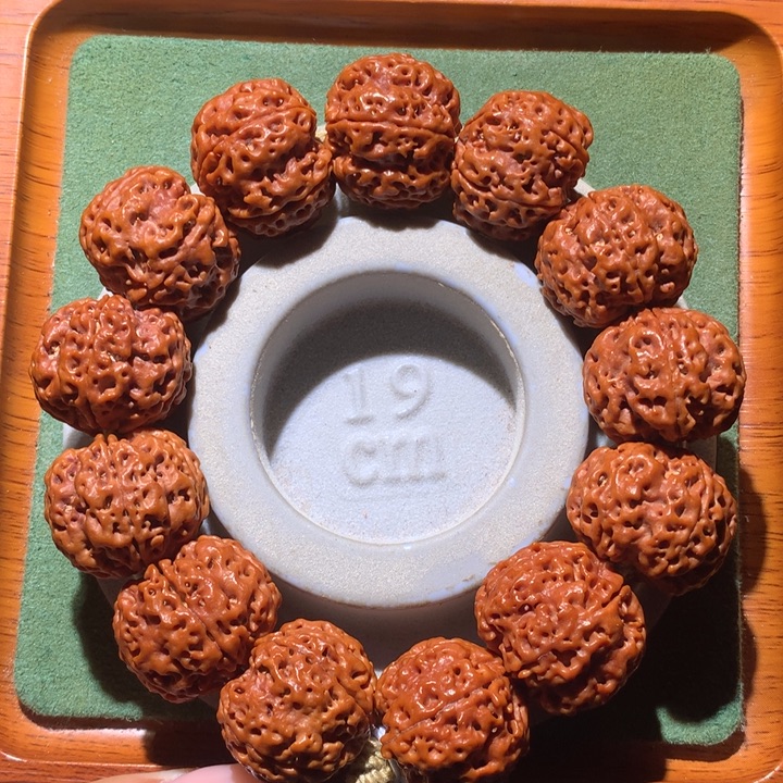 金刚菩提手串开播福利23+五星双龙