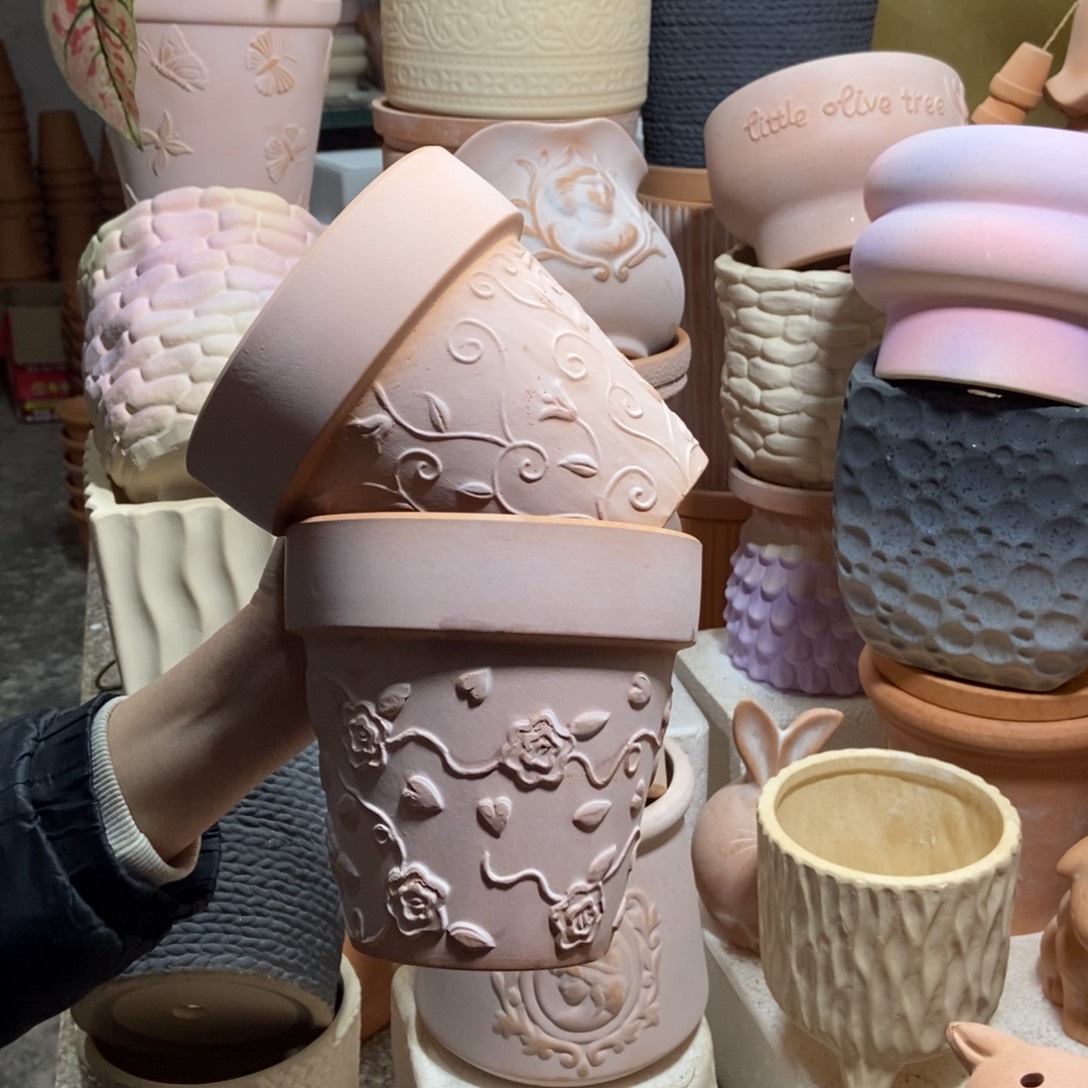 14×13雾化国际玫瑰+钩藤2个