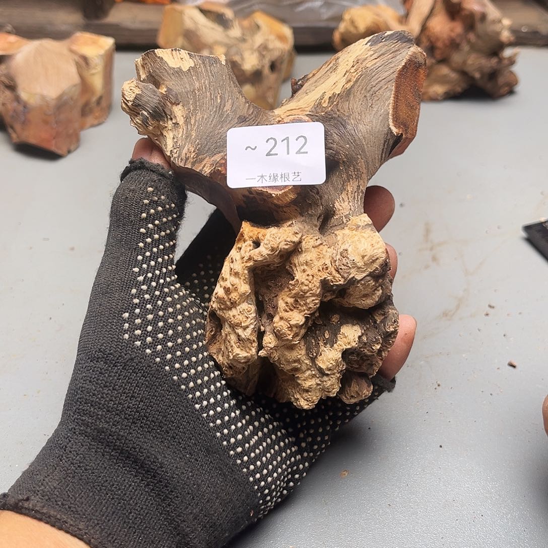 m***年无花朵000000000000212