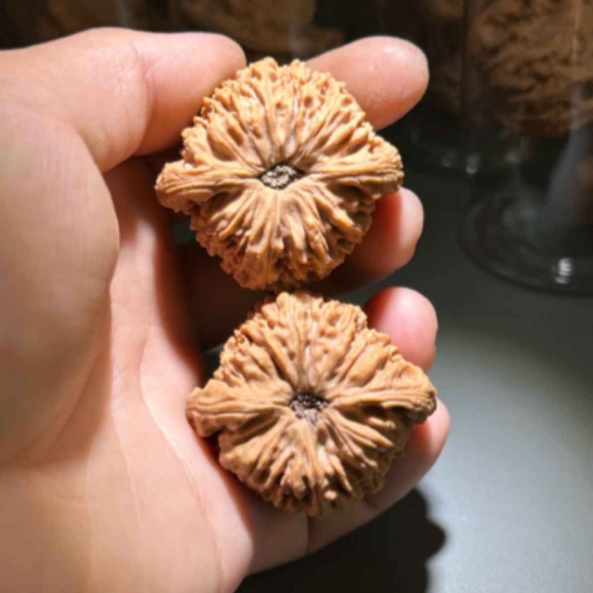 精品大粗筋文玩核桃骨质佳皮质好克重压手好上色