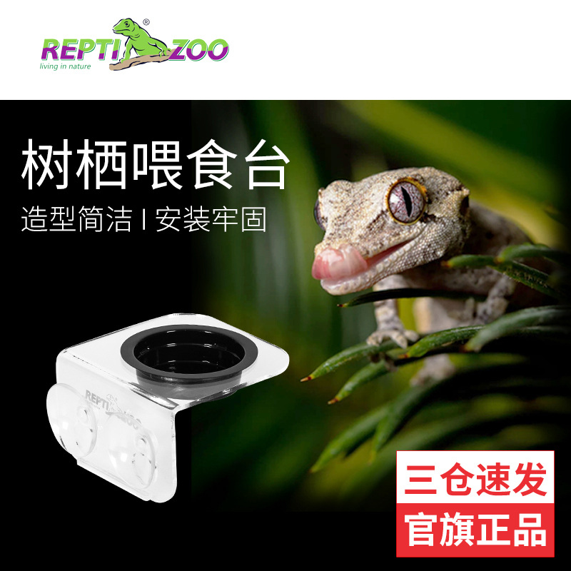 新派宠物Reptizoo爬虫水盆食盆 睫角日行守宫喂食台造景守宫水盆