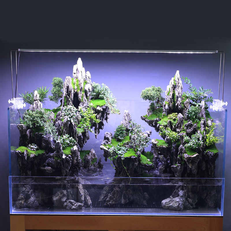 【5号】90*45*50/15水陆缸造景整套鱼缸两栖乌龟超白玻璃微景观生态
