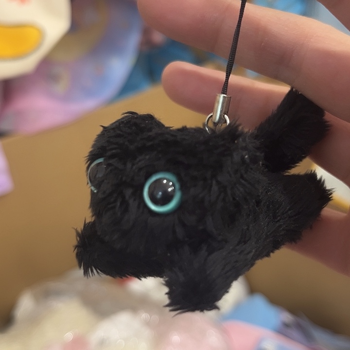黑猫挂件发两个两个