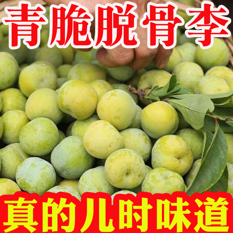 【真资格】四川正宗脱骨李土李子江安李新鲜当季现摘多汁酸甜水果