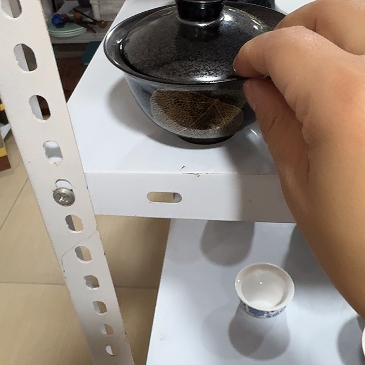 主人杯一个，瓷。。。