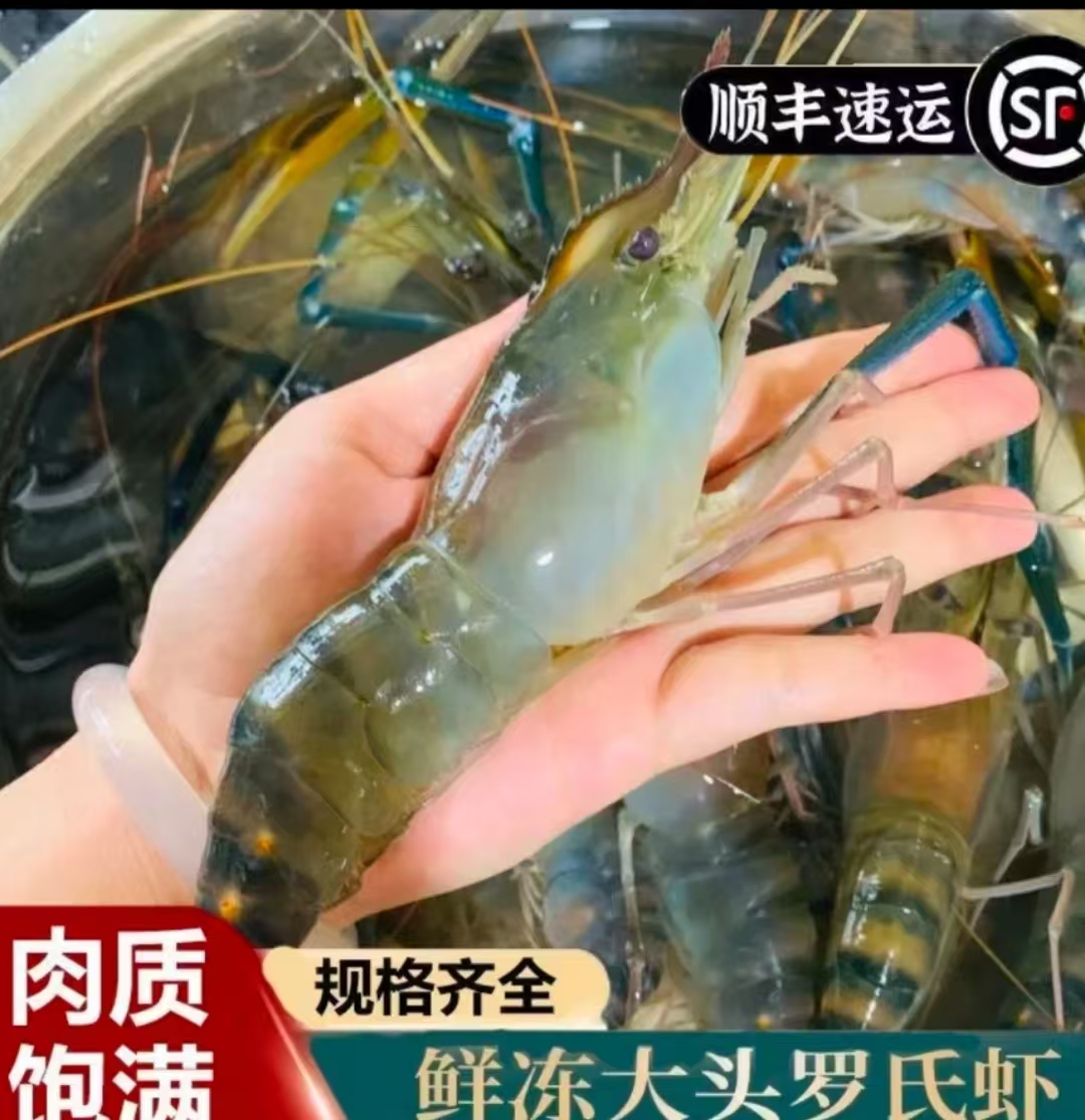 鲜活速冻罗氏虾一斤5-9个头左右肉质鲜美顺丰冷链发货 包邮