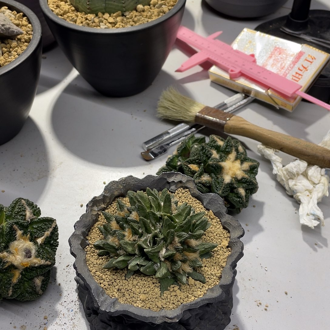 一物一拍所见即所得