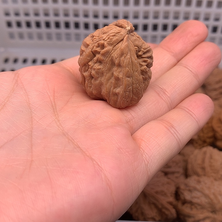 ****文玩核桃吊坠文玩核桃