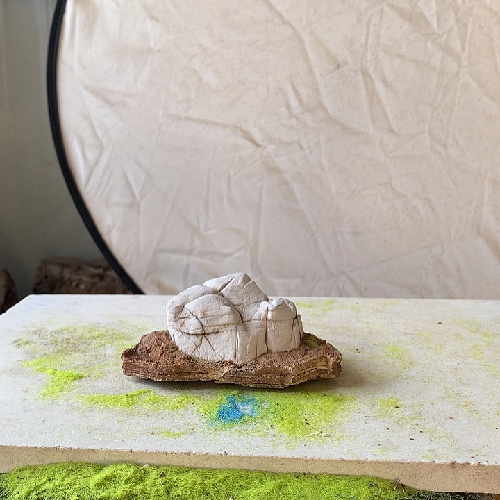 花盆摆件家居装饰