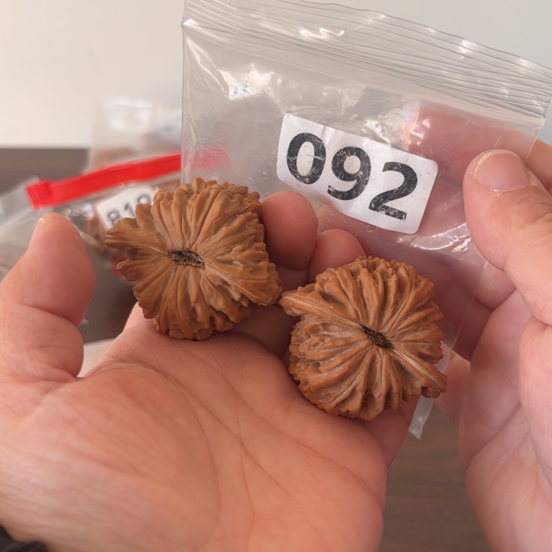 吊坠文玩核桃楼子44