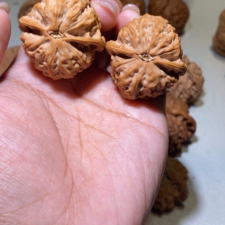 静***思核桃手串/手链沈鸡