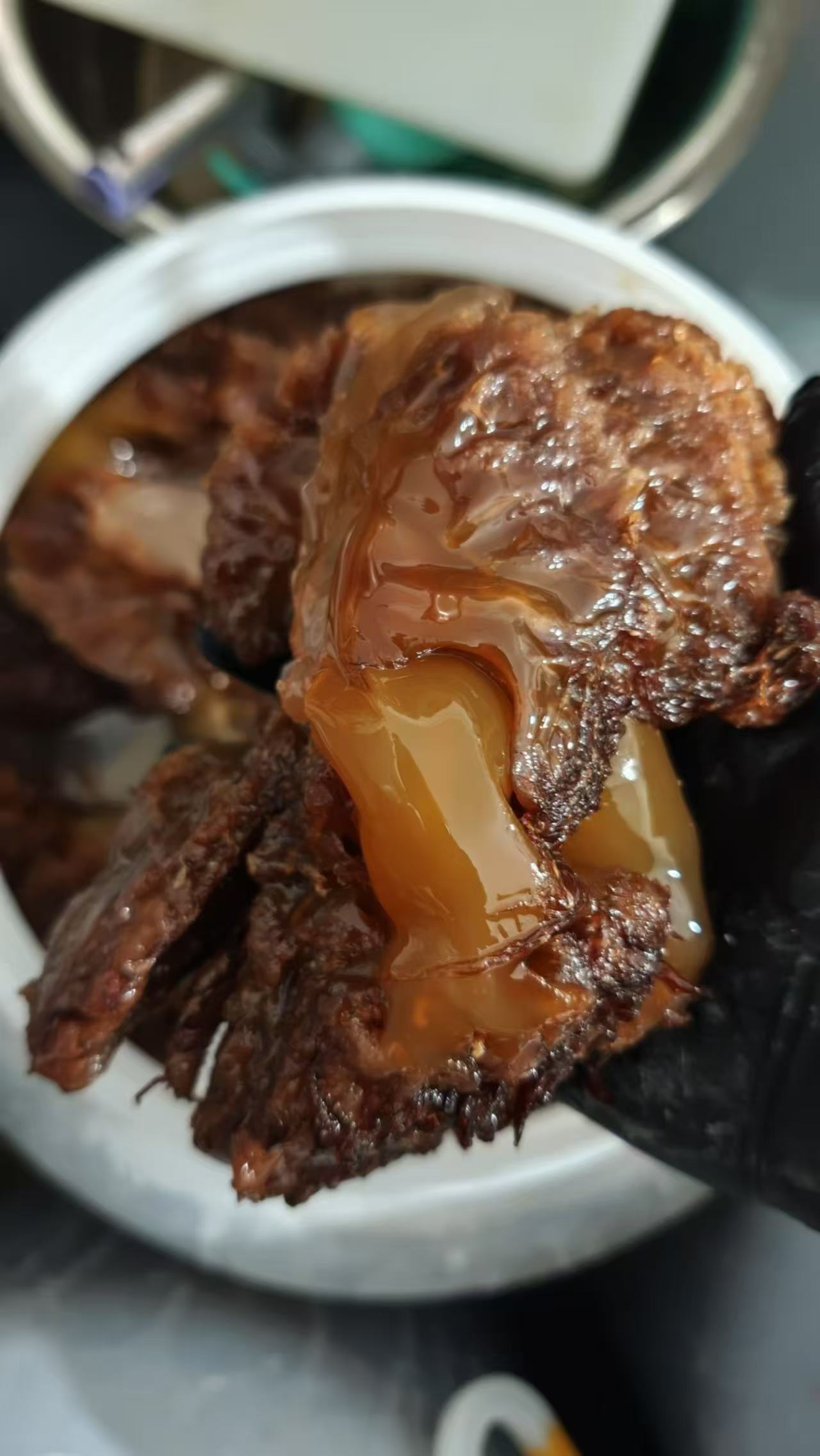 连云港发货纯野生海蜇头