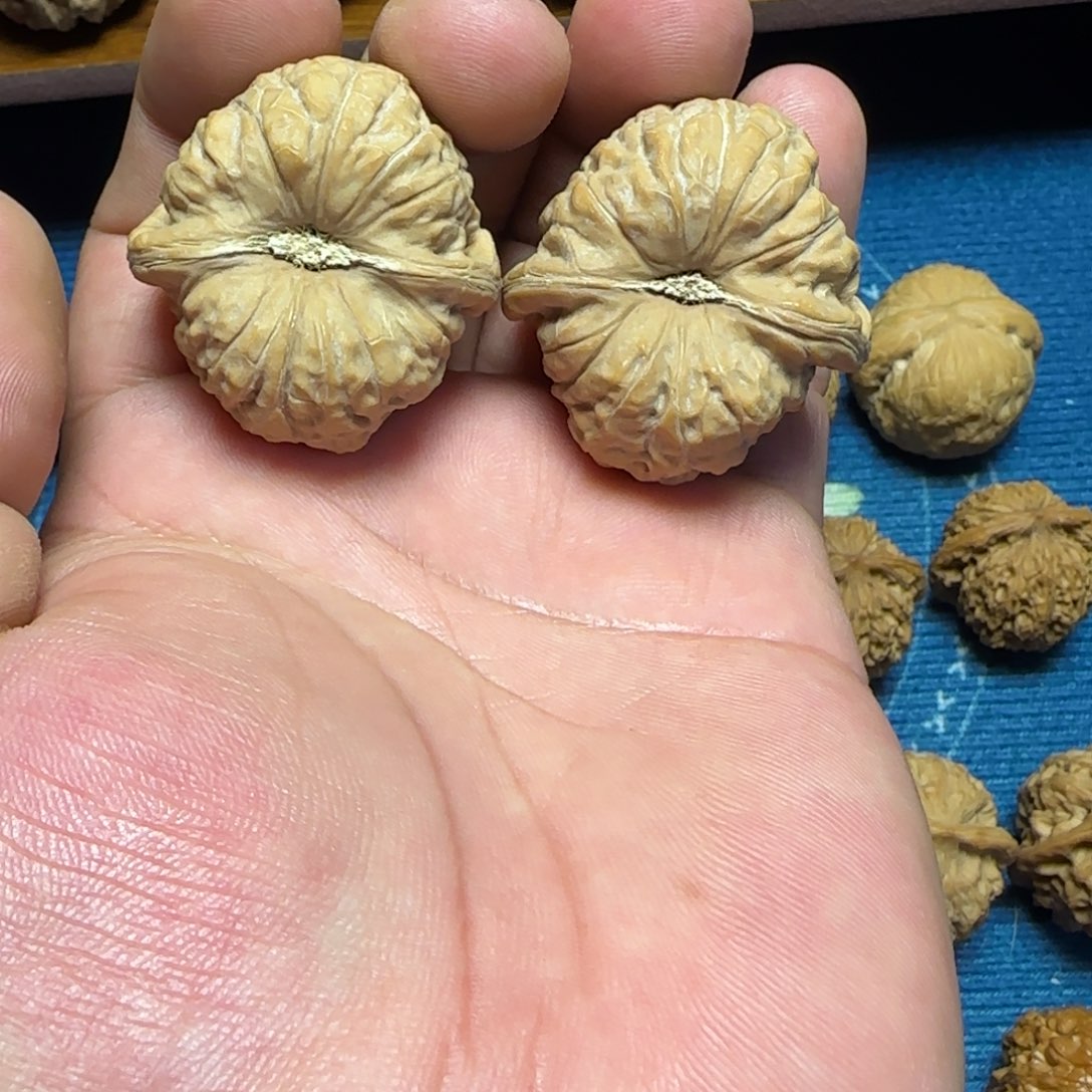文玩核桃把件全品37南瓜墩