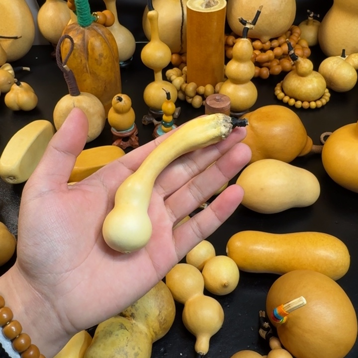 靖***海葫芦2222222222222