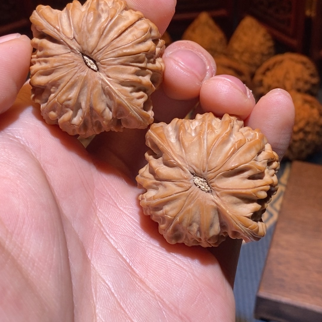 *****43尺 全品白茬 正磨
