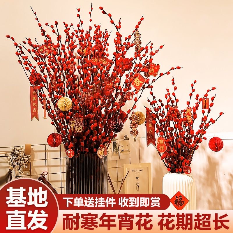 真花鲜花银柳新年花年宵花卉福桶大红色银柳干花柳枝水养室内盆栽