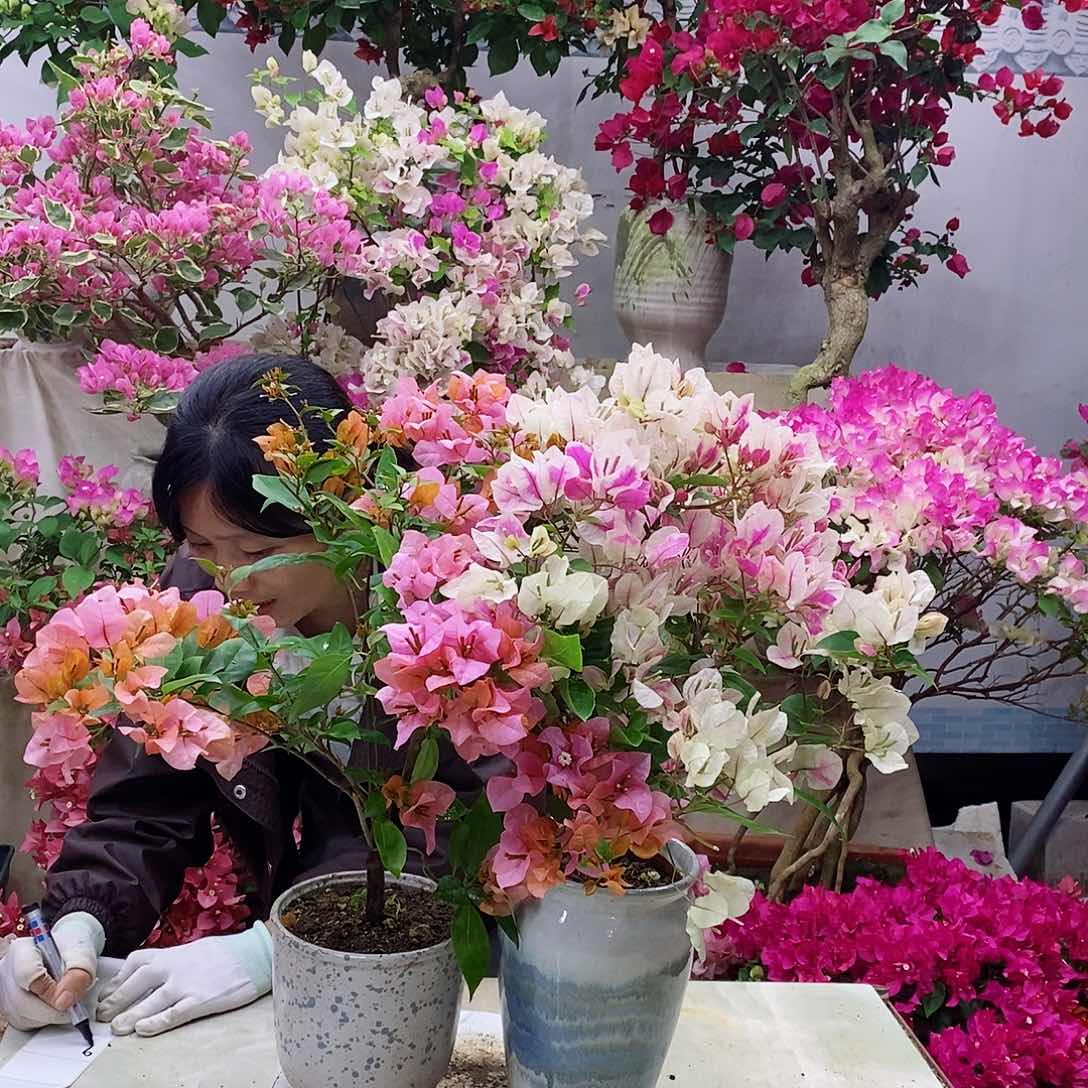完全开放我要好好学习