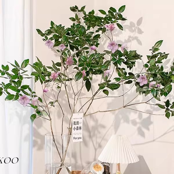 新品雀舌杜鹃开花平替吊钟马醉木鲜切枝水养绿植室内客厅水培植物