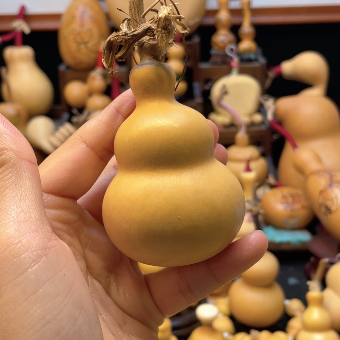 晚**大自然的秘密是什么啊哈哈